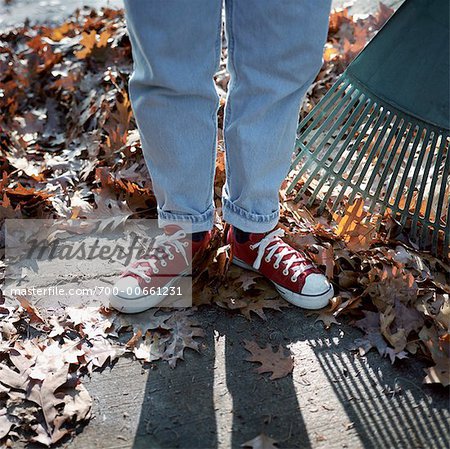Person Standing in Leaves with Rake