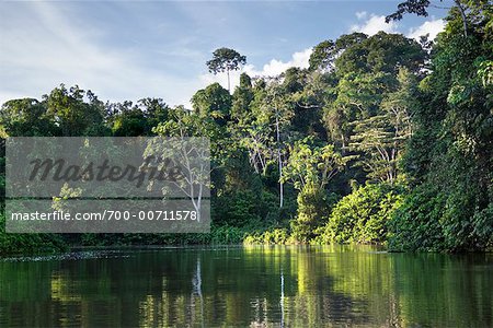 Rio Pastaza, Amazon, Ecuador