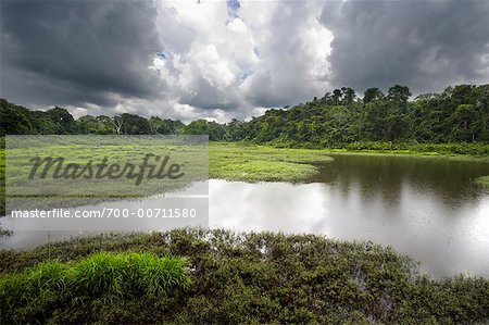 Rio Pastaza, Amazon, Équateur
