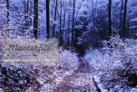 Country Road with First Snow, Bavaria, Germany