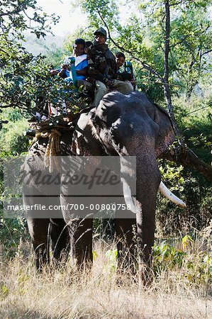 Gens équitation d'éléphant, Parc National de Bandhavgarh, Madhya Pradesh, Inde