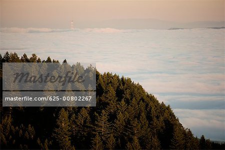 High angle view of a hill surrounded by clouds