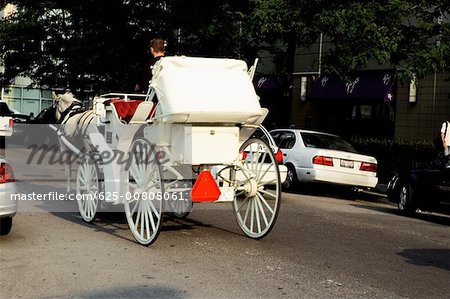 Rückansicht des eine Pferdekutsche auf der Straße, Chicago, Illinois, USA