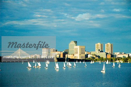 Voiliers dans une rivière, la rivière Charles, Boston, Massachusetts, USA