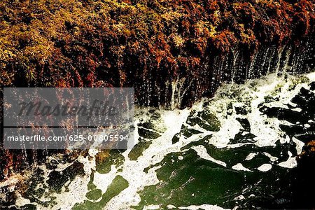 Vue d'angle élevé d'eau s'écoulant sur une roche la formation, les récifs de La Jolla, baie de San Diego, Californie, Etats-Unis