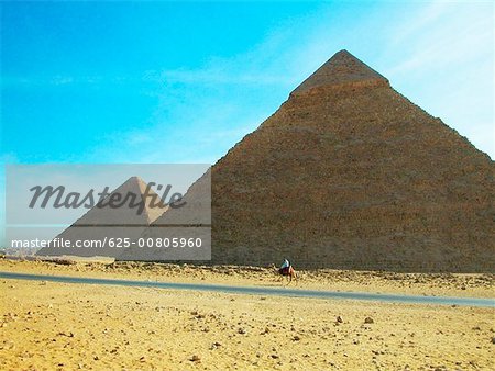 Man on a camel in front of the pyramids, Giza Pyramids, Giza, Cairo, Egypt