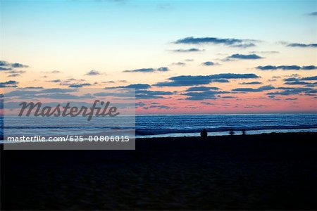 Silhouette of a person at the beach, San Diego, California, USA