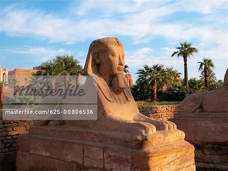 Nahaufnahme von einer Statue, Tempel von Luxor, Luxor, Ägypten