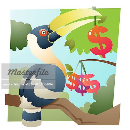 Close-up of a bird on a tree branch holding a dollar sign