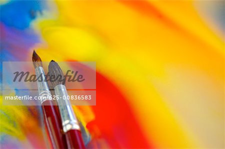 Close-up of two paintbrushes