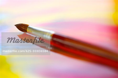 Close-up of a paintbrush