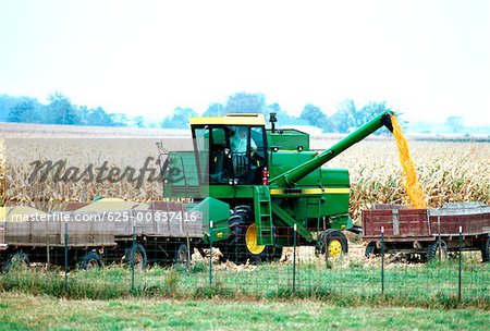 Moissonneuse-batteuse postera maïs en wagon dans le comté de Clinton, OH