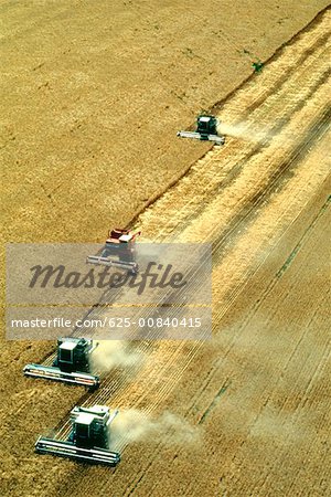 Aerial view of combines harvest wheat near Colorado