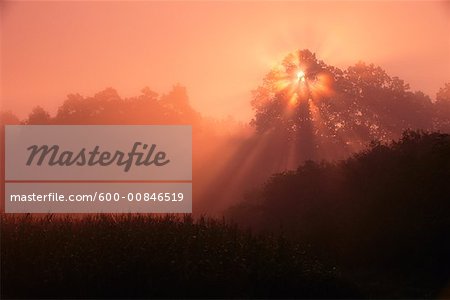 Sunrise, Franconia, Bavaria, Germany