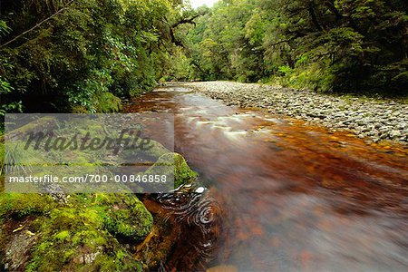 Oparara River, Parc National de Kahurangi, South Island, Nouvelle-Zélande