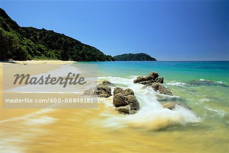 Wave on Beach Abel Tasman National Park, South Island, New Zealand