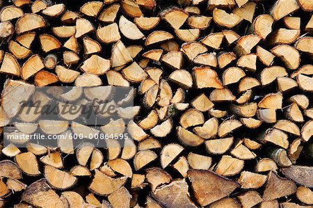 Pile of Firewood