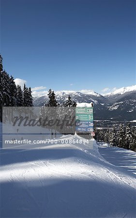 Ski Hill, Whistler, British Columbia, Canada
