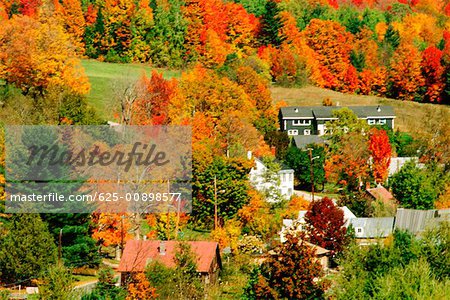 High angle view of houses surrounded by trees, Burke Hollow Vermont, USA