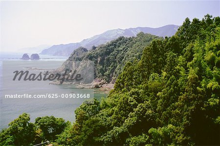 Vue grand angle sur un littoral, Kochi, Shikoku, Japon