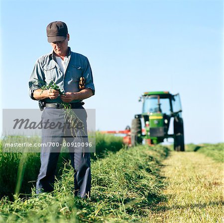 Farmer Looking at Crops