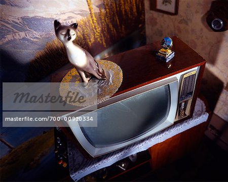 Cat Statue on Top of Television