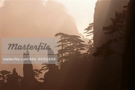 Mont Huangshan Anhui Province, Chine