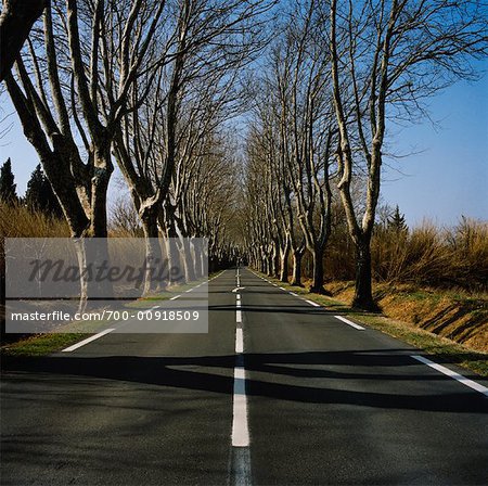 Road, St Remy de Provence, Frankreich