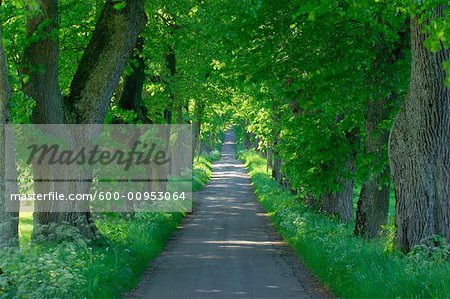 Land Straße, Bayern, Deutschland