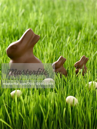 Schokolade Häschen und Eier