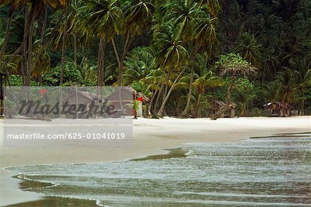 View of a scenic beach on the North shore of Trinidad, Caribbean