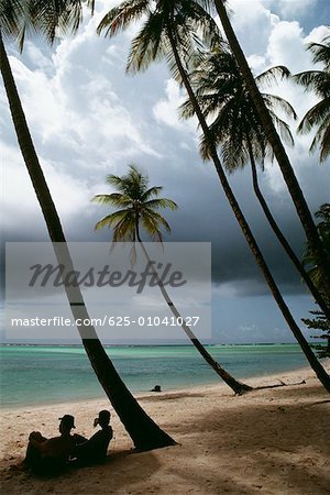 View of a scenic beach on a cloudy day, Pigeon Point, Tobago