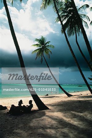 View of a scenic beach on a cloudy day, Pigeon Point, Tobago, Caribbean