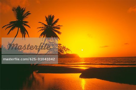 Einen spektakulären Sonnenuntergang, Tobago, Caribbean