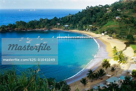 Scenic view of Man O' War Bay, Tobago, Caribbean