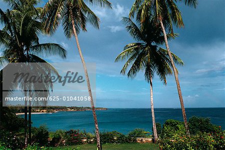 Spektakuläre seelandschaft von Pigeon Point, Tobago