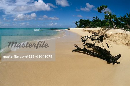 Belle plage, Buck Island, St. Croix, Iles vierges