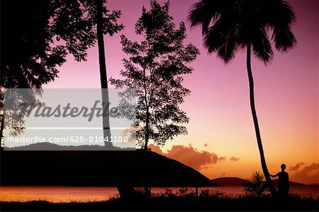Silhouette der Bäume bei Sonnenuntergang, St. John, St. Croix, amerikanische Jungferninseln