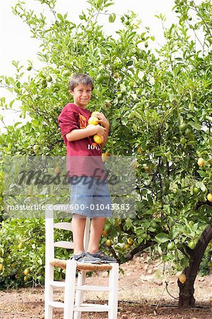 Porträt eines jungen im Obstgarten