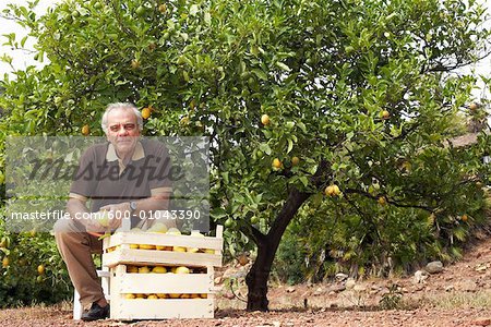 Portrait of Man in Orchard