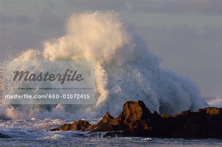 Vagues s'écraser sur le récif, rive-nord, Oahu, Hawaii, USA