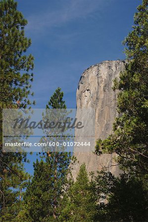 Parc National de Yosemite, Californie, USA