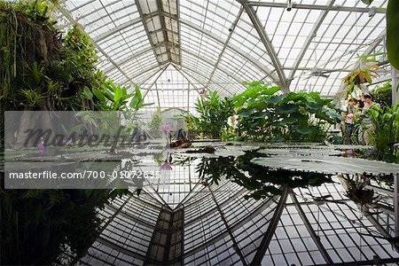 Botanischer Garten Golden Gate Park San Francisco Kalifornien