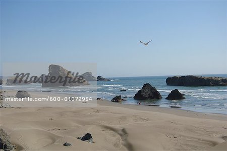 Vue d'ensemble de la plage, Oregon, Etats-Unis