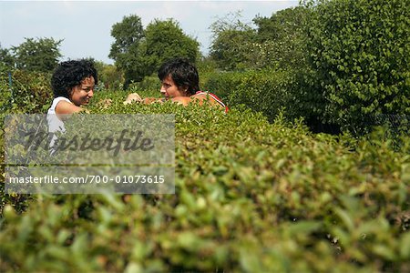 Couple Talking Over Hedge