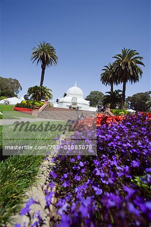 Botanischer Garten, Golden Gate Park, San Francisco, Kalifornien, USA