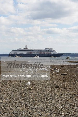 Seagulls and Cruise Ship, Bar Harbor, Maine, USA