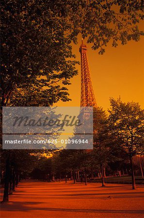 Trees in front of a tower, Eiffel Tower, Paris, France