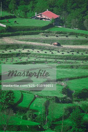 High angle view of a field, Douro Valley, Portugal