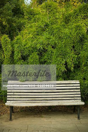 Empty Park Bench, Regent's Park, London, England